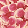 Fresones con Nata rellenas chuche bandeja 795gr | 75 uds