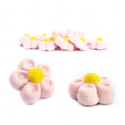 Margaritas Rosas De Nube Bulgari - Mono Banano